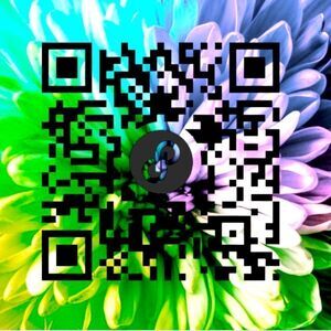 Scan QR Code to go directly to my closet (@colorplay)
